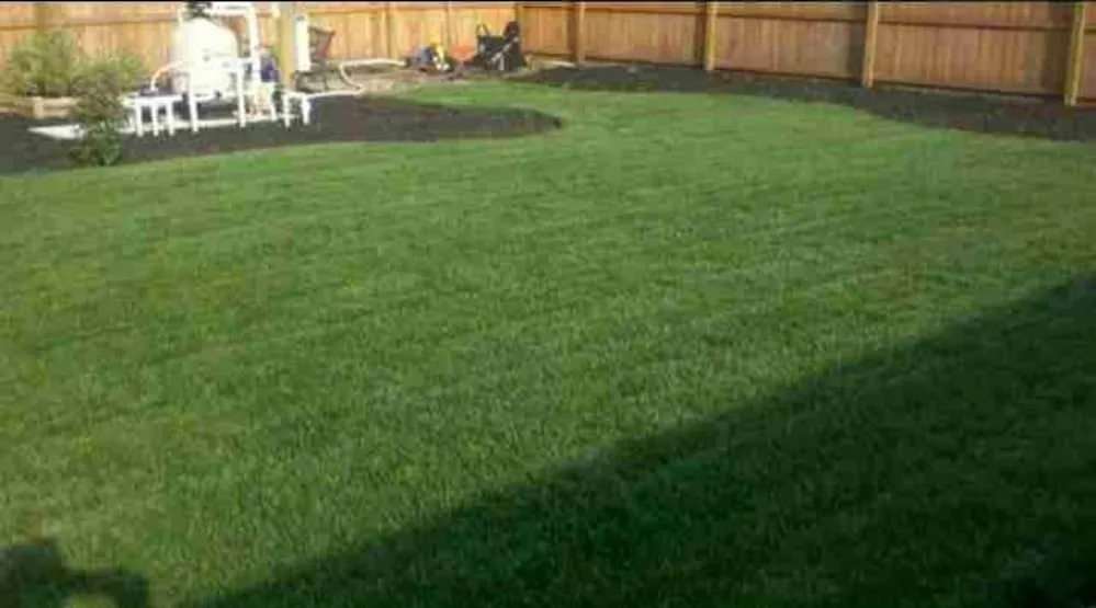 Affordable landscape installation experts serving Moore, SC - Landscape Innovations