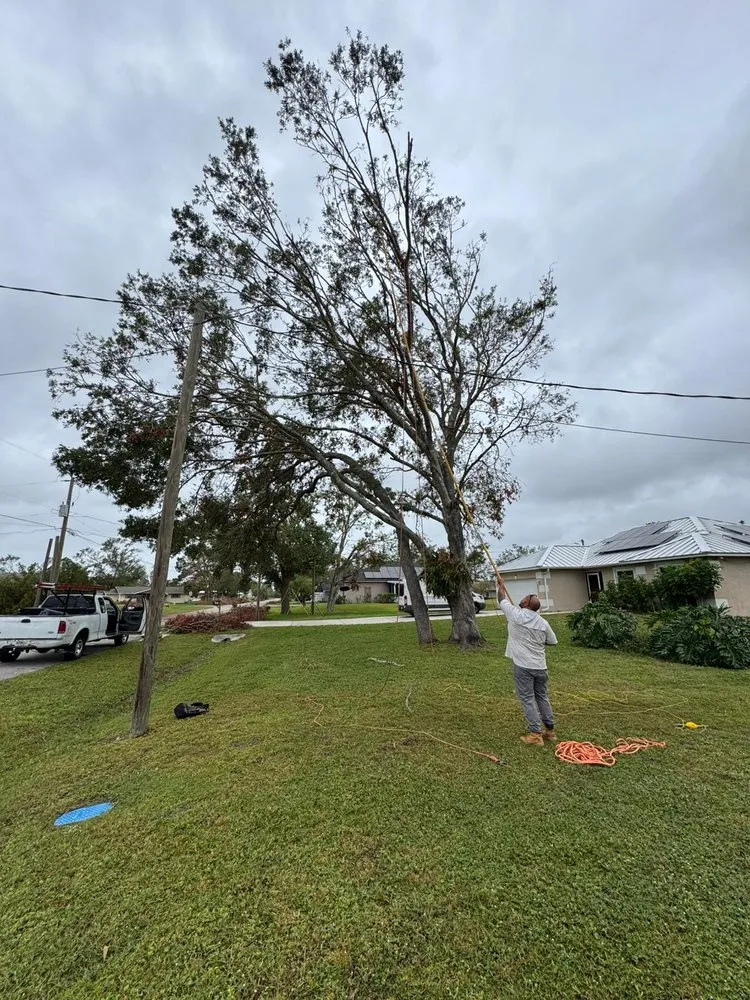 Professional outdoor landscaping in Palmetto, FL by Landscape Irrigation & Tree Service
