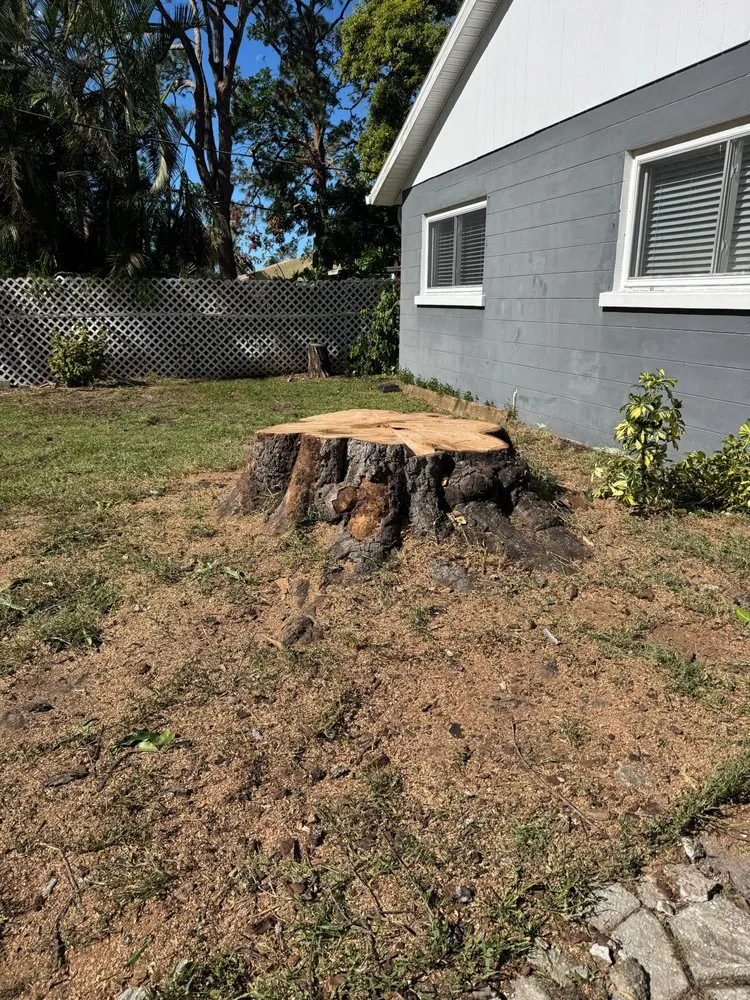 Reliable residential landscaping in Palmetto, FL - Landscape Irrigation & Tree Service