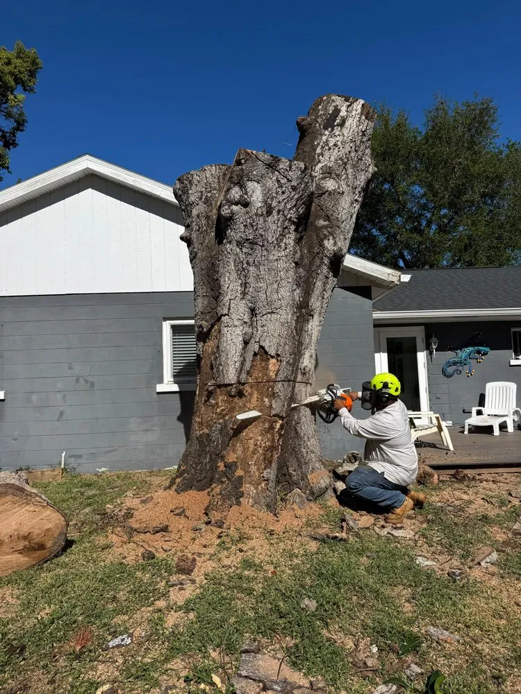 Local yard cleanup service in Palmetto, FL by Landscape Irrigation & Tree Service