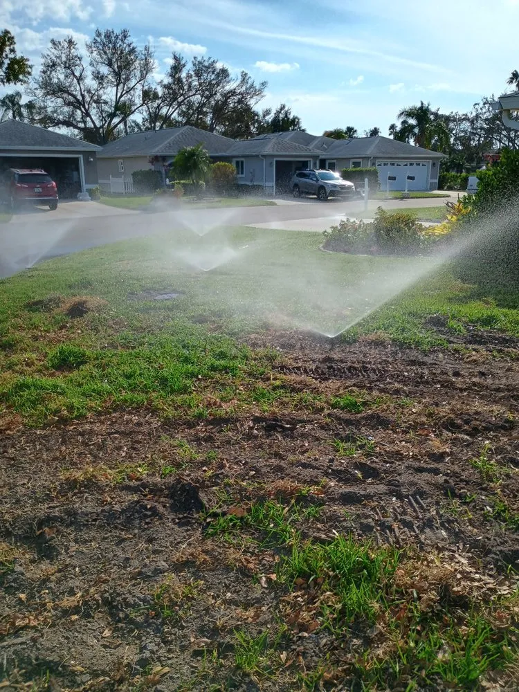 Custom lawn care service in Palmetto, FL - Landscape Irrigation & Tree Service