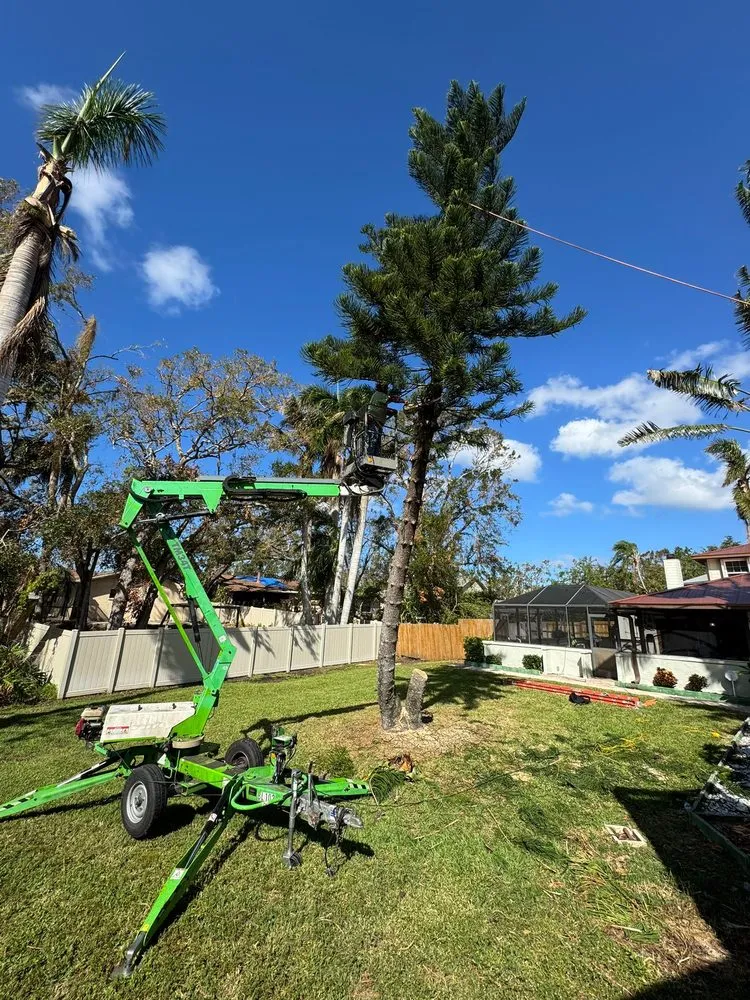 Local lawn care service for homes across Palmetto, FL - Landscape Irrigation & Tree Service