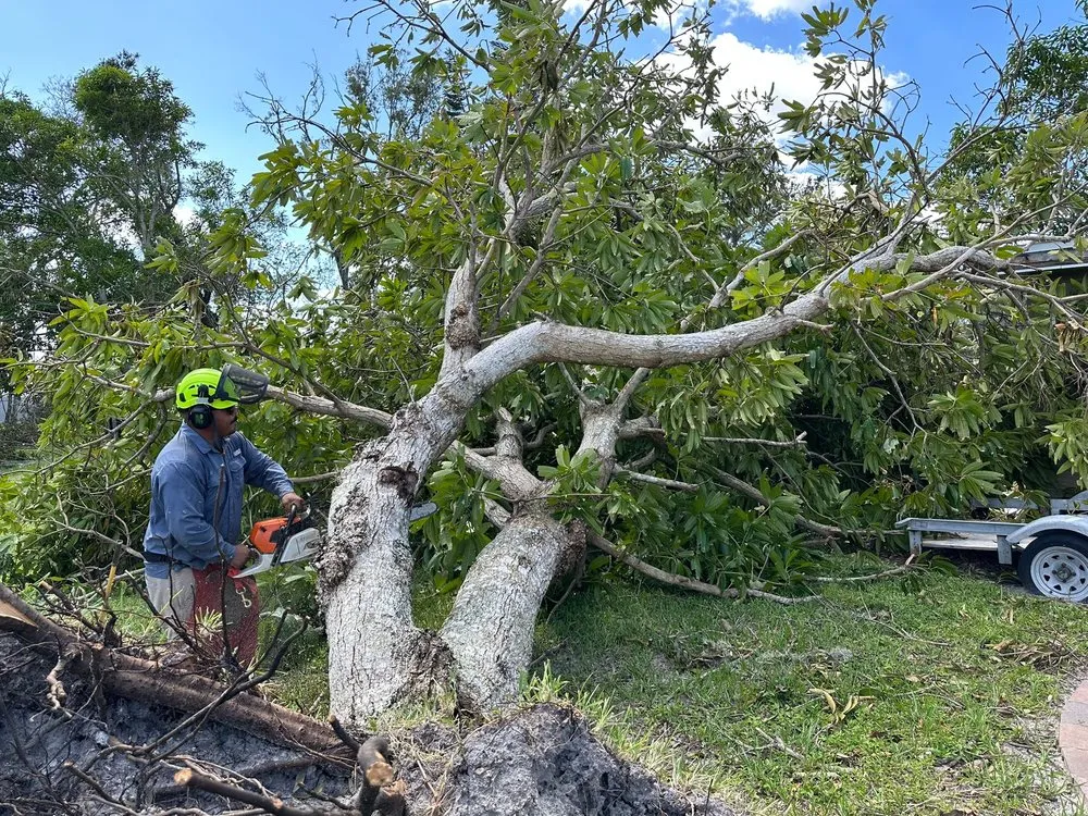 Custom yard maintenance for residential properties in Palmetto, FL by Landscape Irrigation & Tree Service