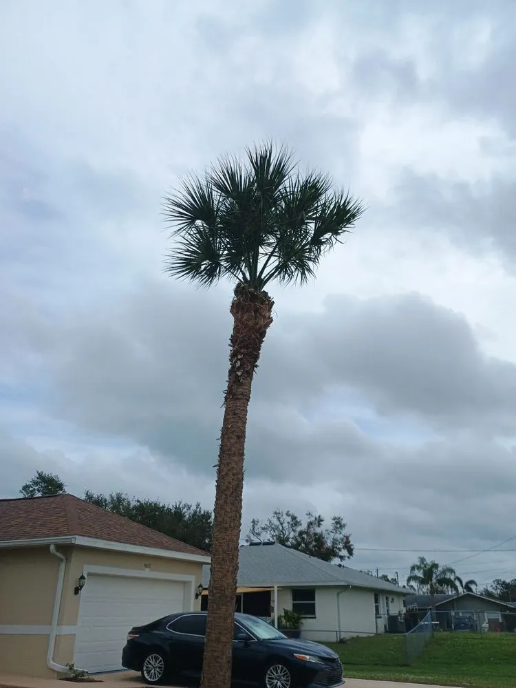 Custom landscape installation with custom design across Palmetto, FL - Landscape Irrigation & Tree Service
