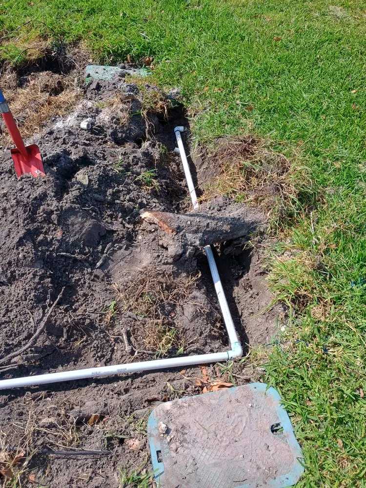 Top-rated lawn care service experts serving Palmetto, FL - Landscape Irrigation & Tree Service