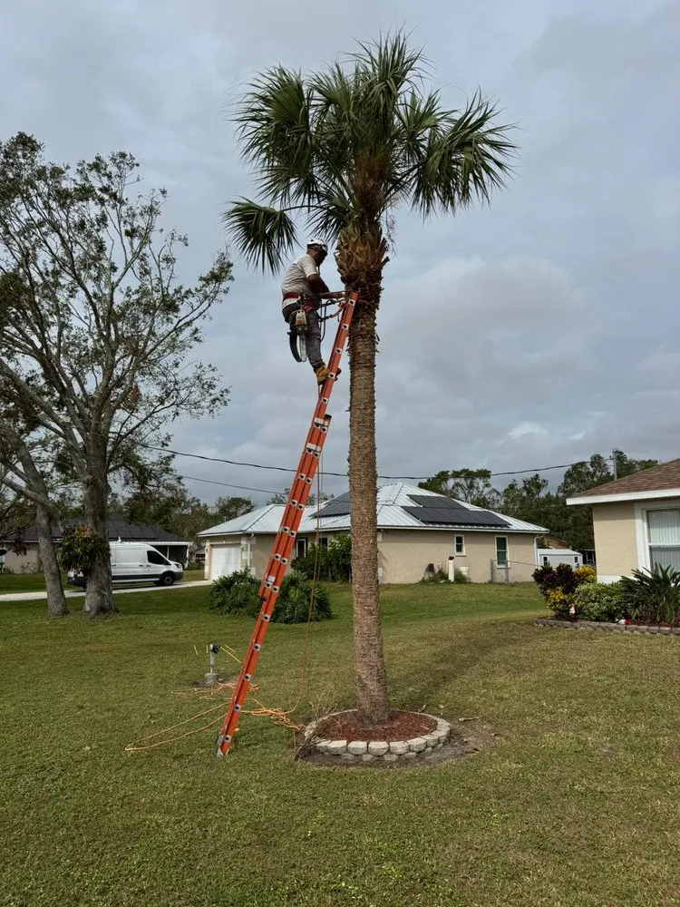 Local residential landscaping near you across Palmetto, FL - Landscape Irrigation & Tree Service