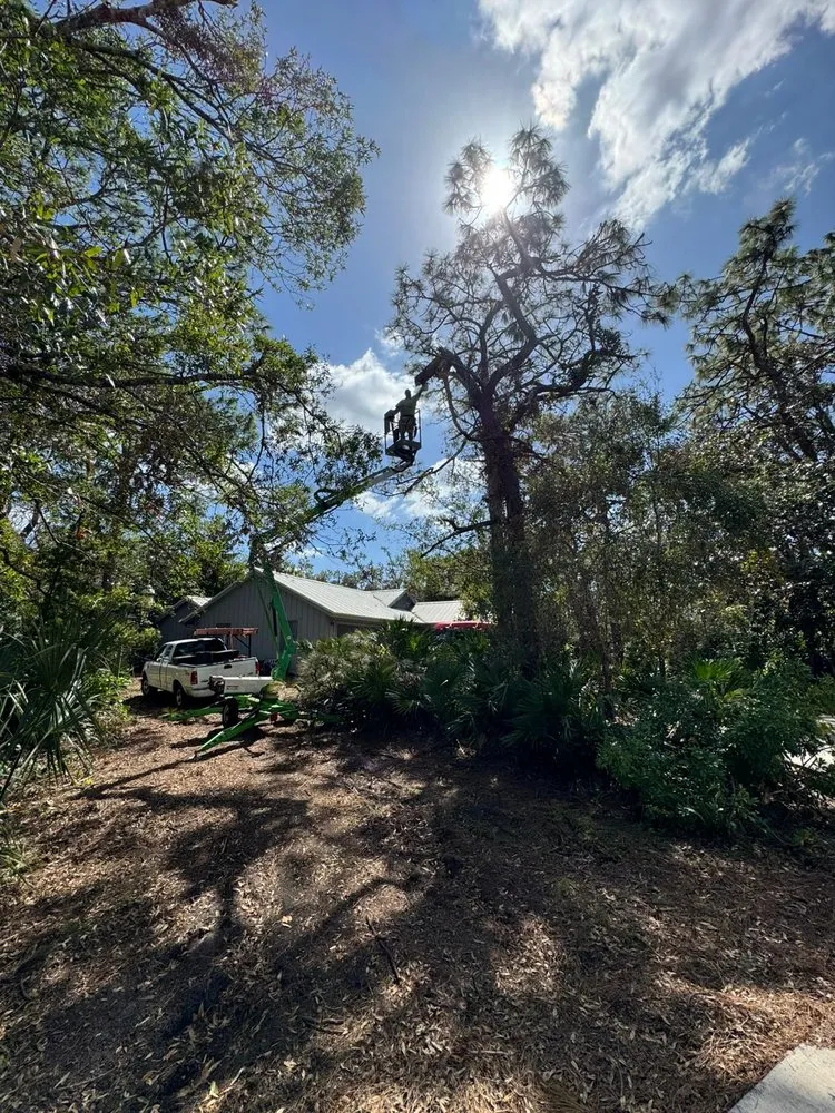 Affordable landscape design experts serving Palmetto, FL - Landscape Irrigation & Tree Service