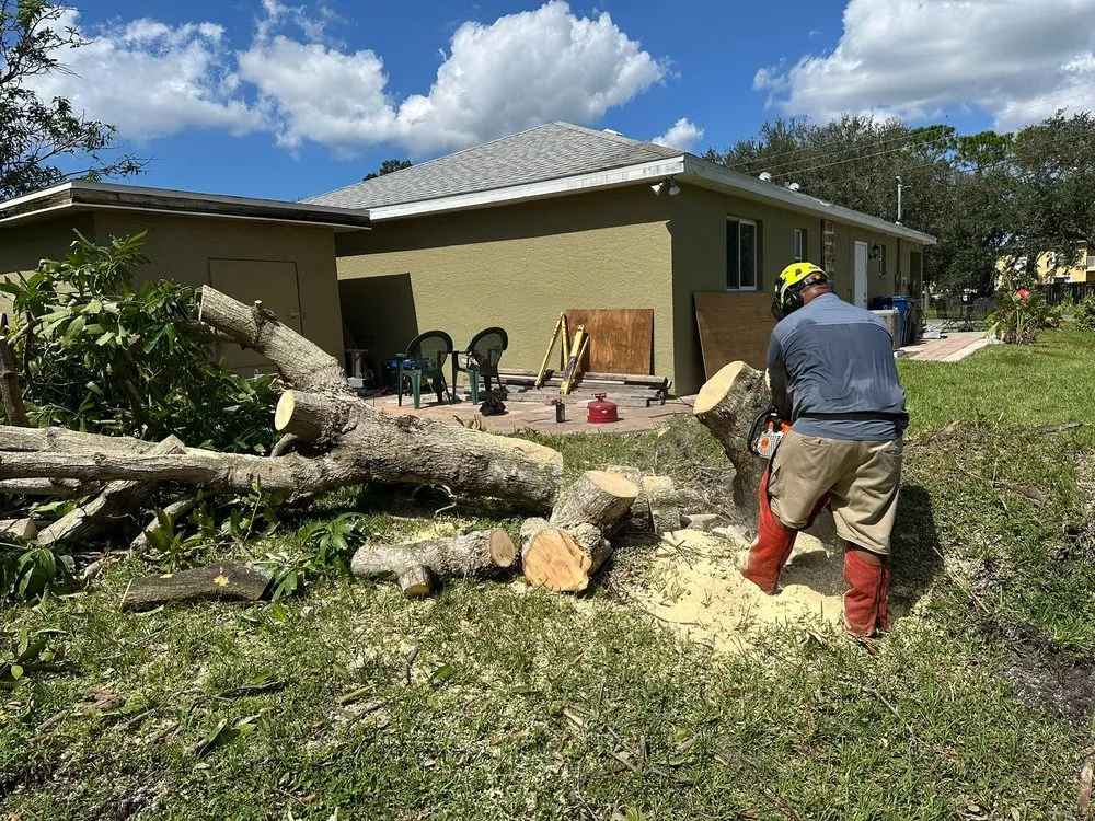 Expert yard maintenance for homes across Palmetto, FL - Landscape Irrigation & Tree Service