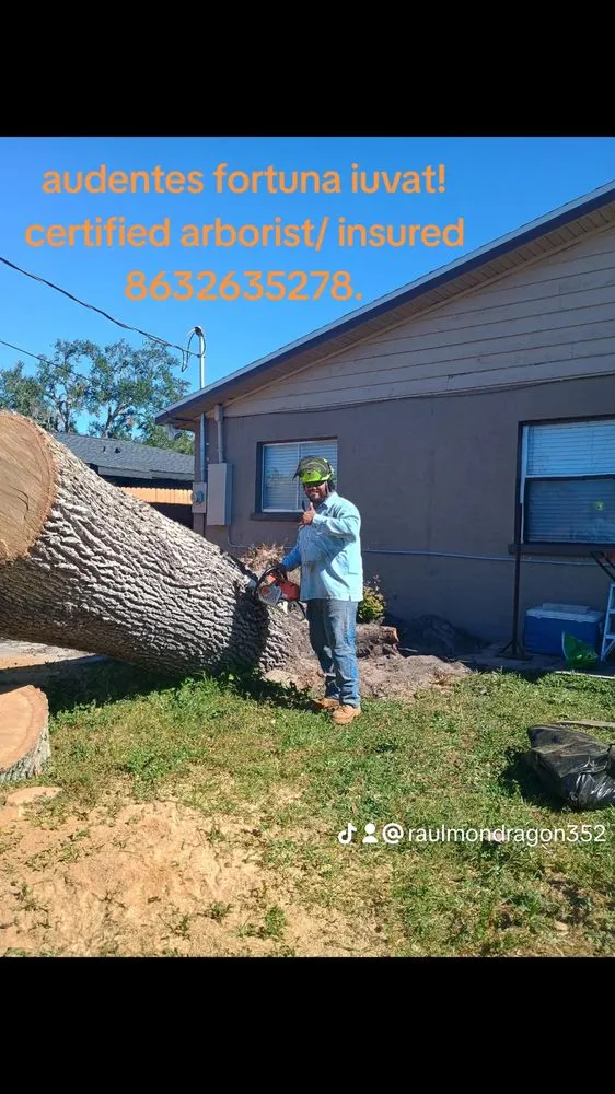 Top-rated landscape installation in Palmetto, FL by Landscape Irrigation & Tree Service