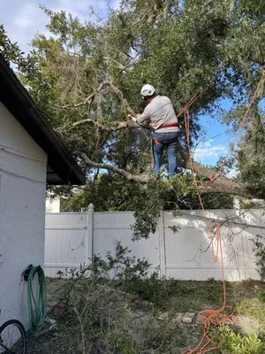 Landscape Irrigation & Tree Service Logo