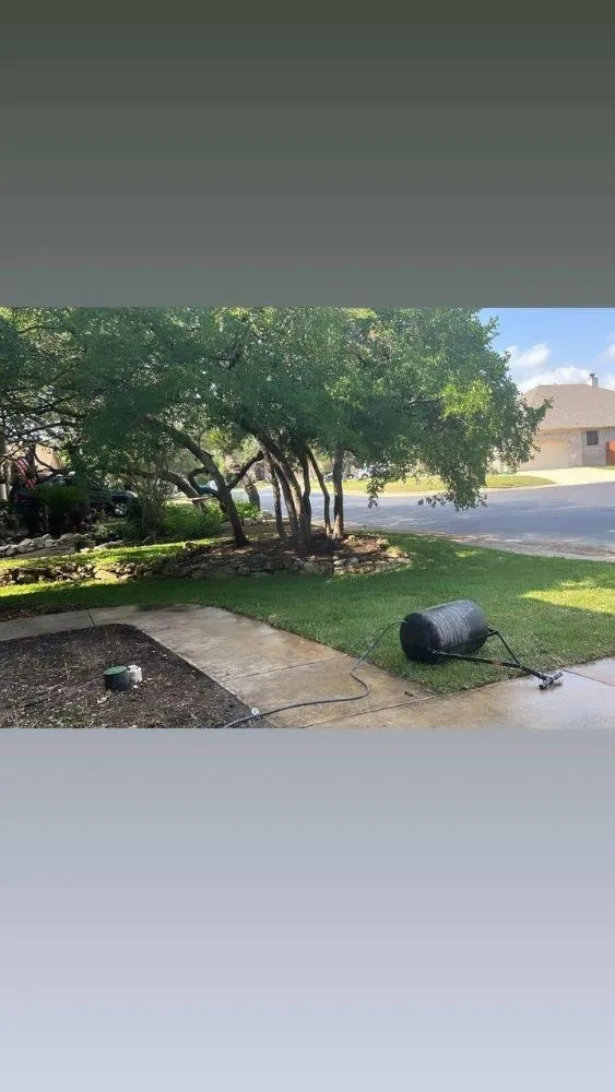 Professional landscaping services for beautiful yards in San Antonio, TX by Landscape Irrigation Designs