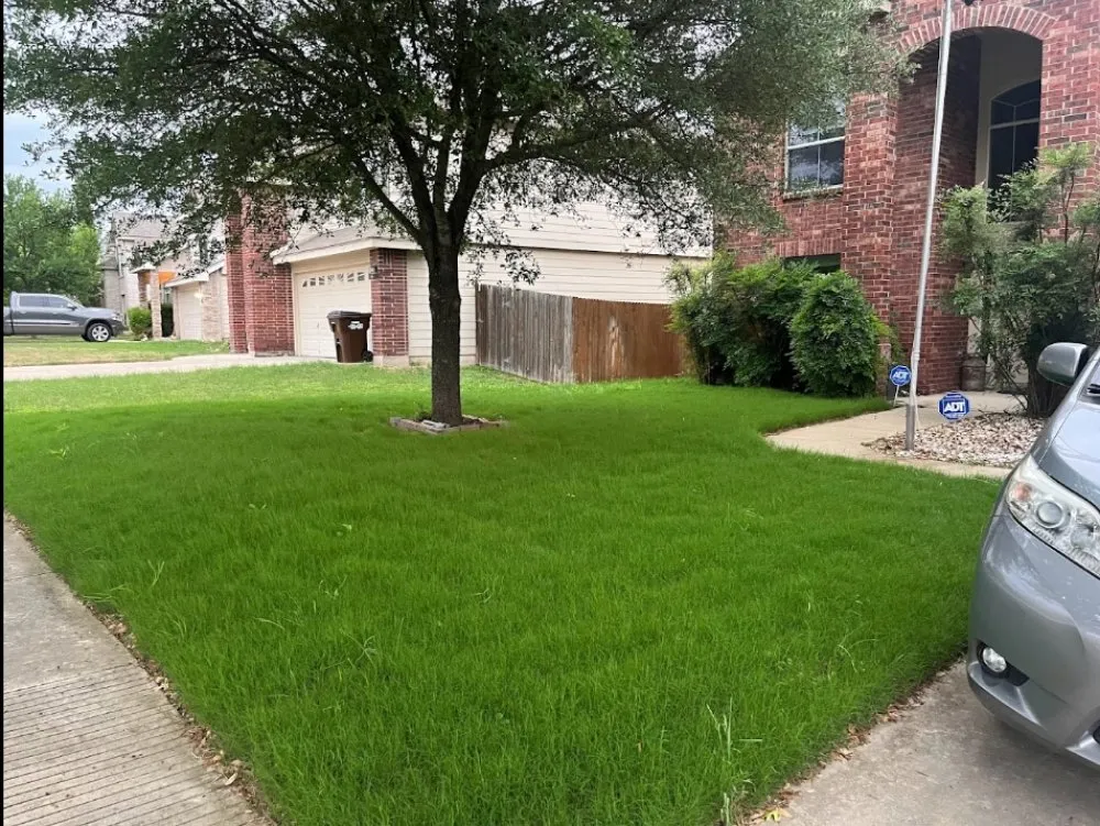 Professional outdoor landscaping in San Antonio, TX by Landscape Irrigation Designs