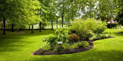 Expert outdoor landscaping experts serving Jack, AL - Landscape Irrigation Experts