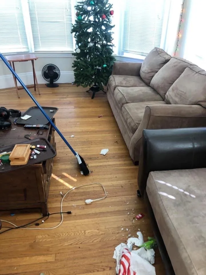 Reliable residential landscaping in Richmond, CA - Landscape JC