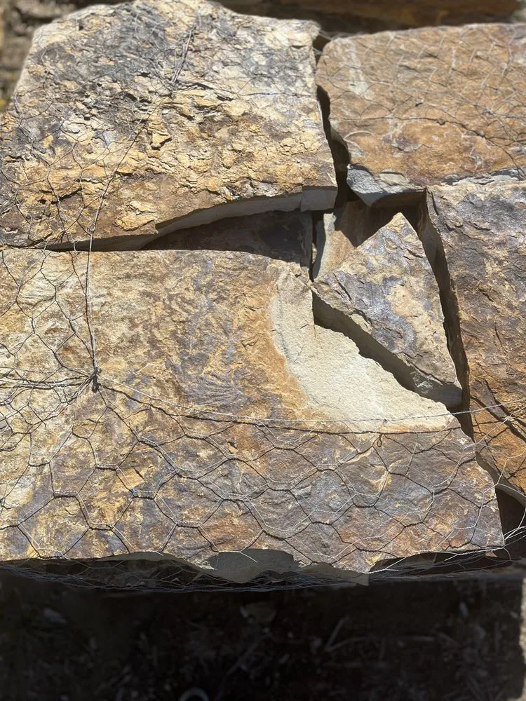 Custom landscaping services for homes in San Marcos, TX by Landscape Junction