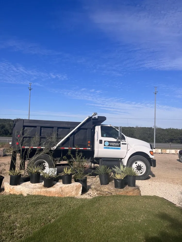 Local yard cleanup service for homes in San Marcos, TX by Landscape Junction