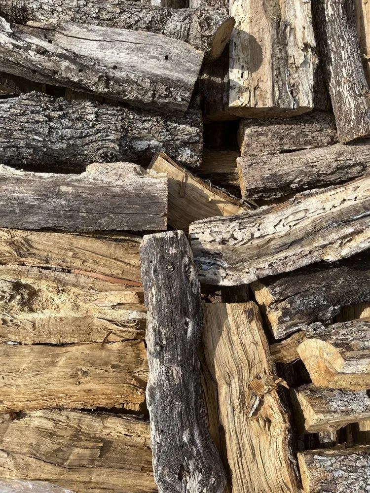 Top-rated yard cleanup service for outdoor upgrades in San Marcos, TX by Landscape Junction