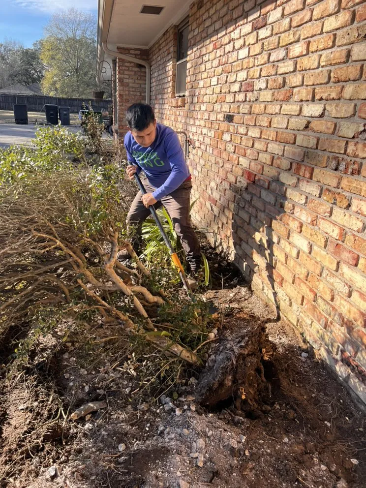 Professional yard cleanup service in Baton Rouge, LA by Landscape King