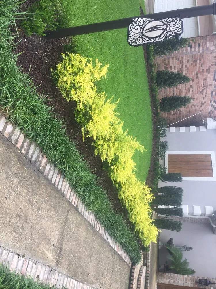 Affordable outdoor landscaping in Baton Rouge, LA by Landscape King