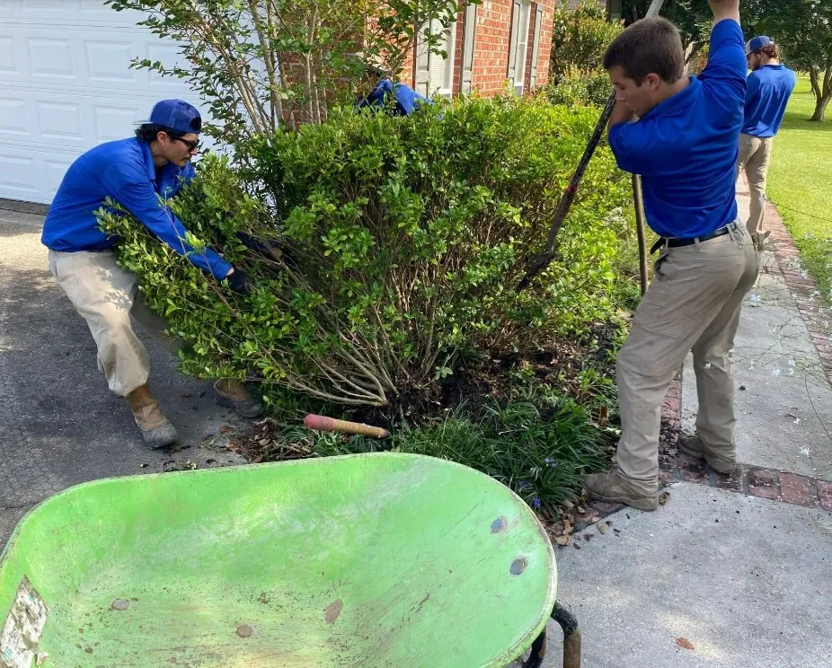 Custom garden landscaping for outdoor upgrades in Baton Rouge, LA by Landscape King