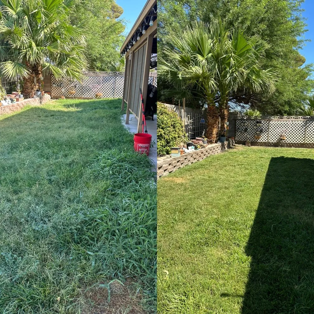 Trusted landscape installation in North Las Vegas, NV by Landscape Kingdom
