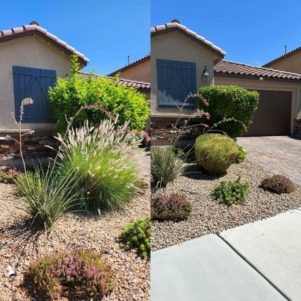 Expert yard cleanup service for beautiful yards across North Las Vegas, NV - Landscape Kingdom