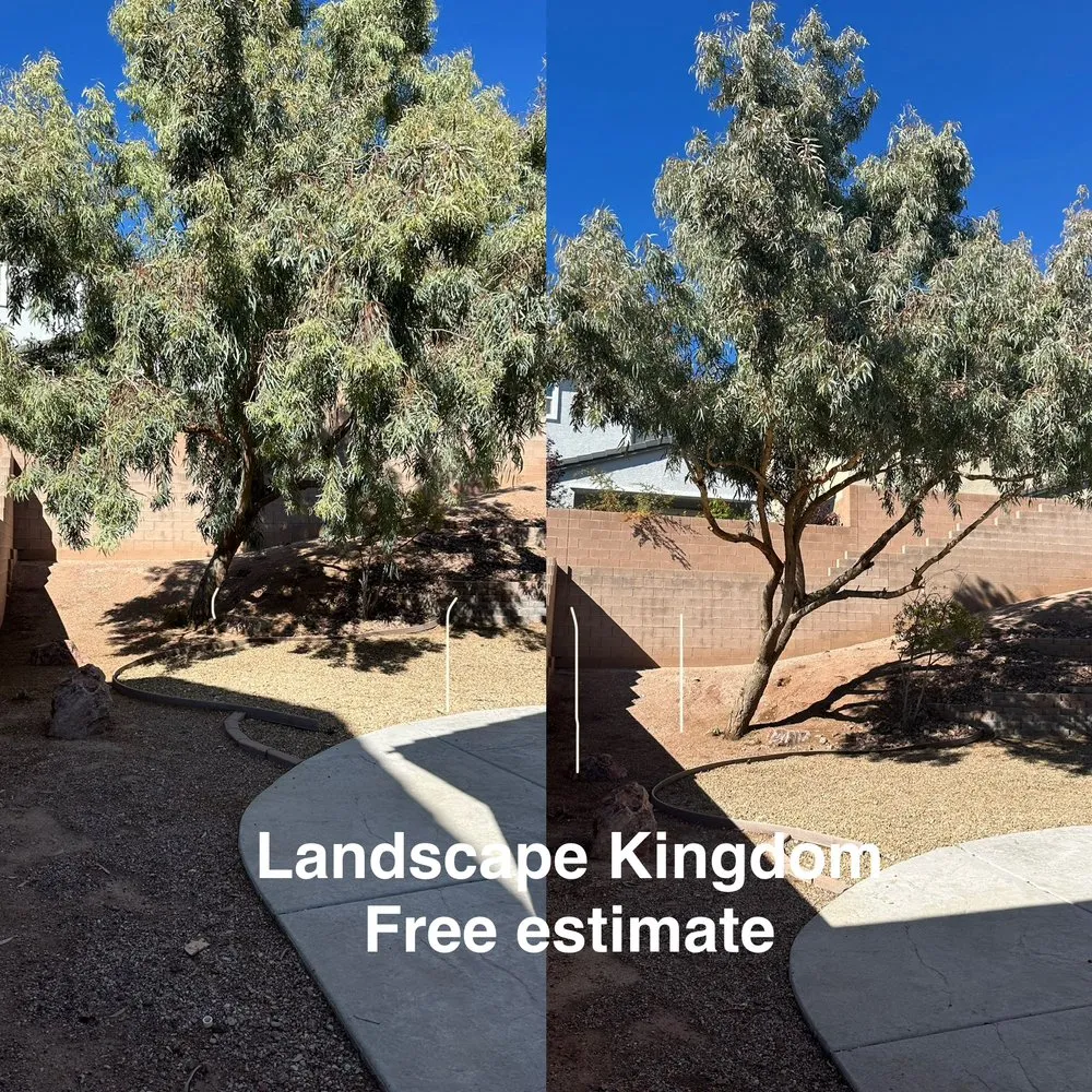 Custom residential landscaping in North Las Vegas, NV - Landscape Kingdom