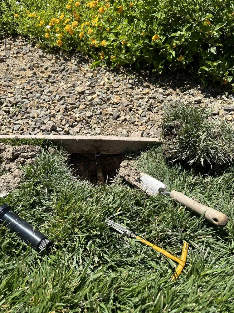 Expert lawn mowing service experts serving North Las Vegas, NV - Landscape Kingdom