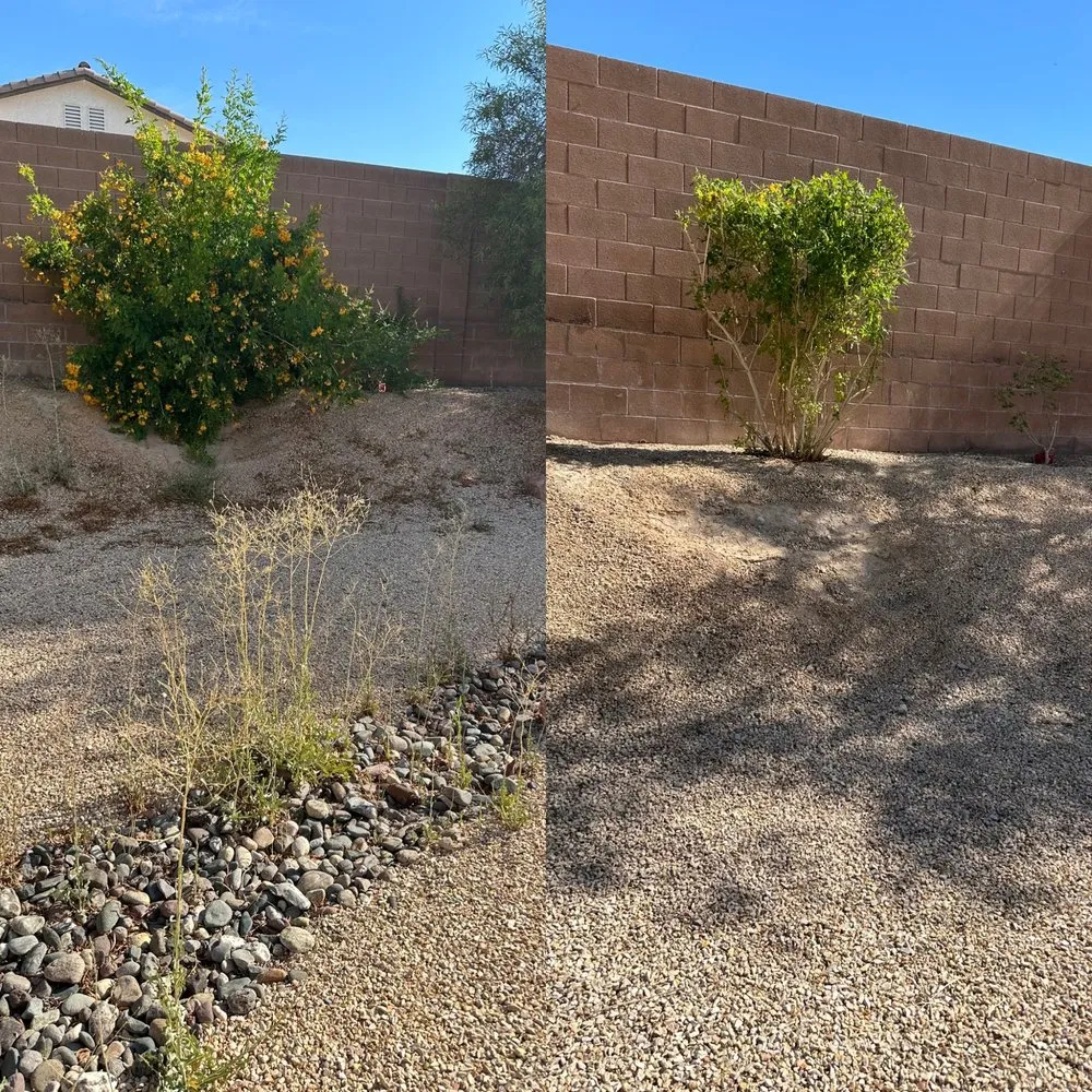 Reliable residential landscaping for outdoor upgrades across North Las Vegas, NV - Landscape Kingdom