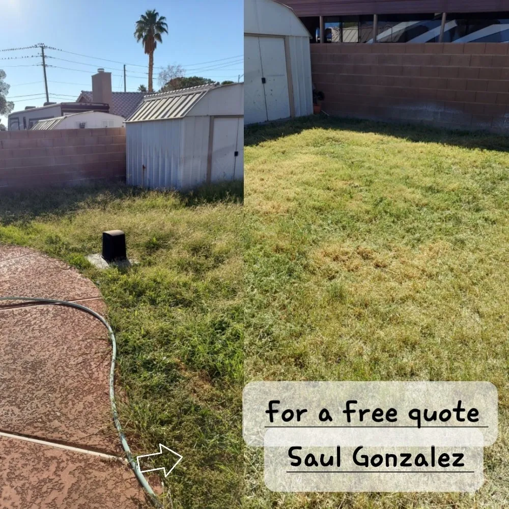 Expert outdoor landscaping for residential properties across North Las Vegas, NV - Landscape Kingdom