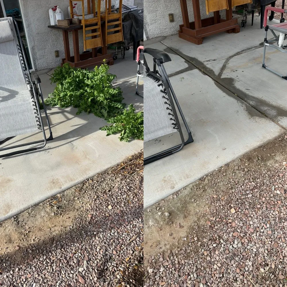 Reliable lawn care service in North Las Vegas, NV - Landscape Kingdom