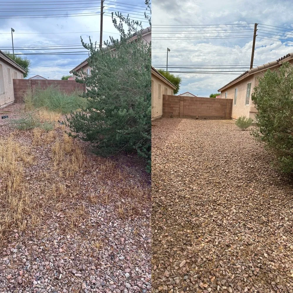 Expert residential landscaping in North Las Vegas, NV by Landscape Kingdom