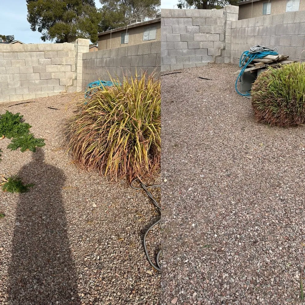Expert outdoor landscaping in North Las Vegas, NV by Landscape Kingdom