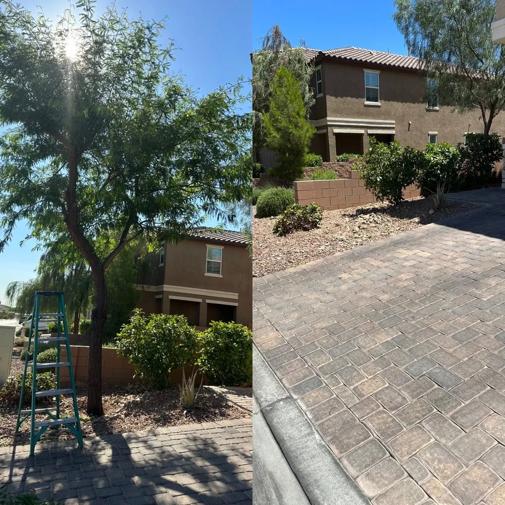 Professional landscape design in North Las Vegas, NV - Landscape Kingdom