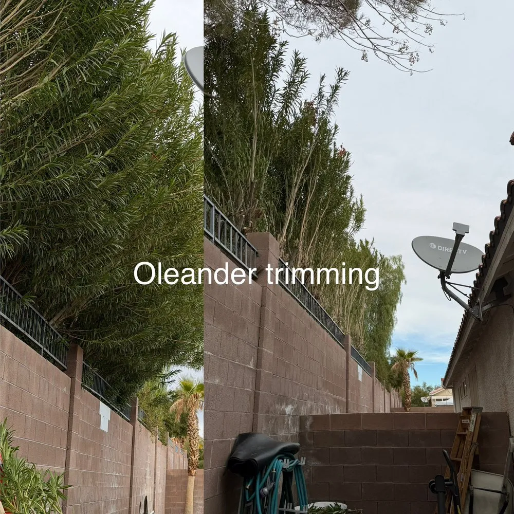 Local outdoor landscaping in North Las Vegas, NV by Landscape Kingdom