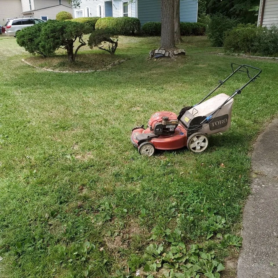 Top-rated lawn mowing service for outdoor upgrades across Herndon, VA - Landscape Kings