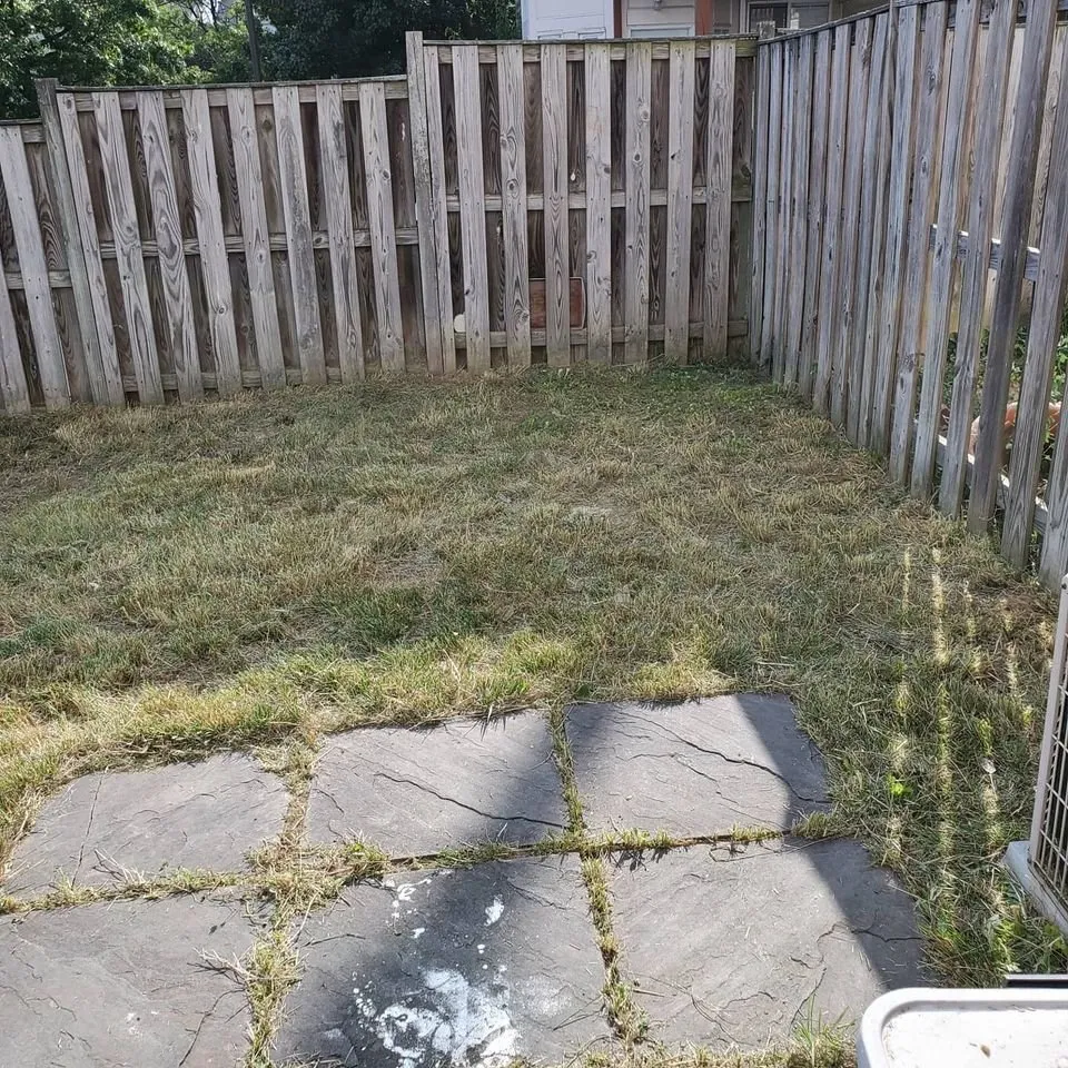 Top-rated lawn care service for beautiful yards in Herndon, VA by Landscape Kings