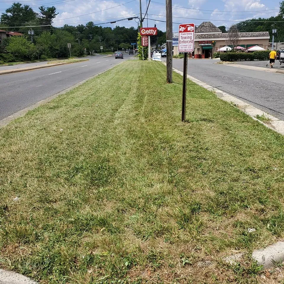 Trusted yard cleanup service in Herndon, VA by Landscape Kings