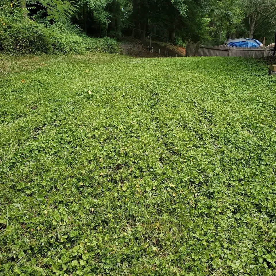 Professional landscape installation in Herndon, VA - Landscape Kings