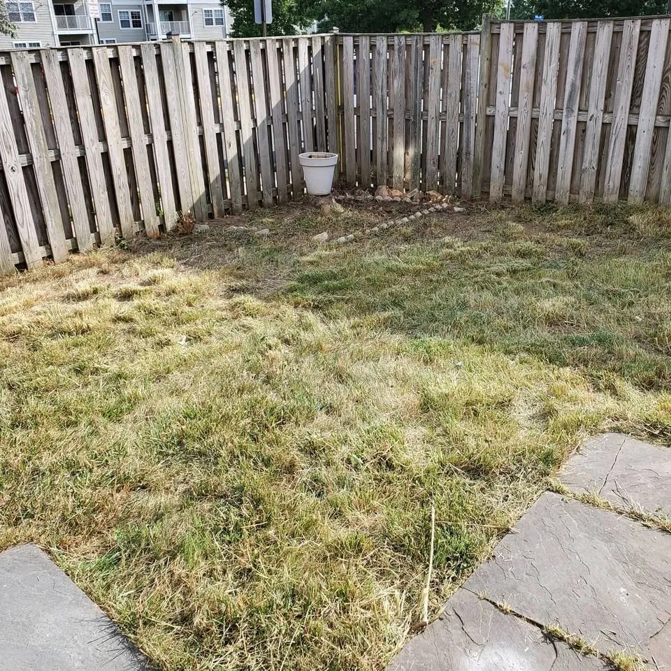 Expert lawn care service in Herndon, VA - Landscape Kings