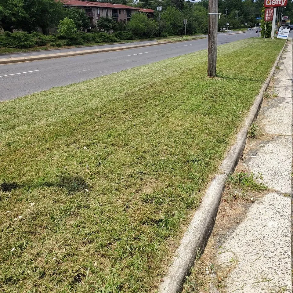 Top-rated yard maintenance experts serving Herndon, VA - Landscape Kings