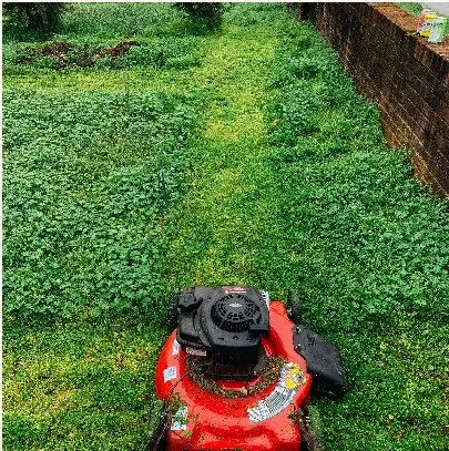 Expert landscape installation in Laveen, AZ by Landscape Laveen