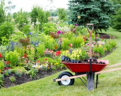 Professional lawn care service in Pewaukee, WI by Landscape Livin