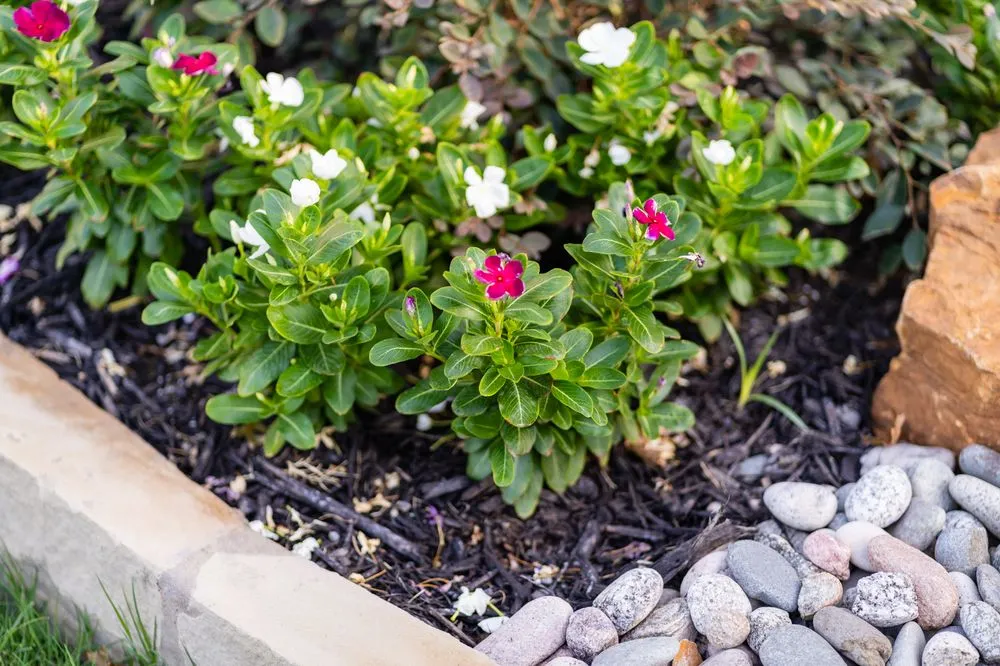 Top-rated landscape installation experts serving Denton, TX - Landscape Living