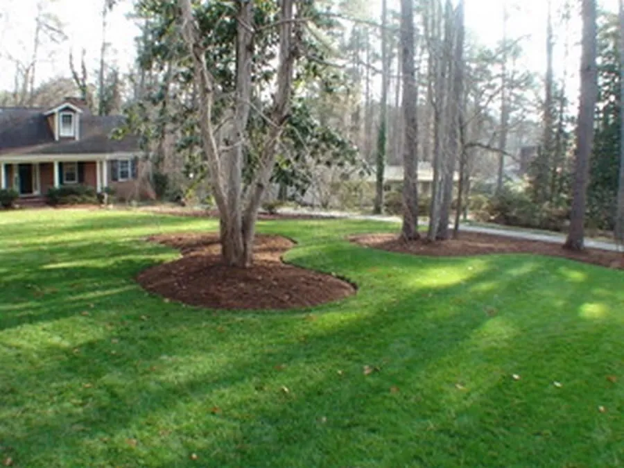 Reliable outdoor landscaping in Durham, NC - Landscape Logic of North Carolina