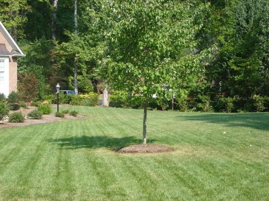 Top-rated outdoor landscaping for outdoor upgrades across Durham, NC - Landscape Logic of North Carolina