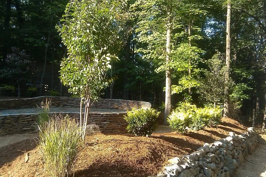Affordable yard cleanup service for outdoor upgrades in Durham, NC by Landscape Logic of North Carolina