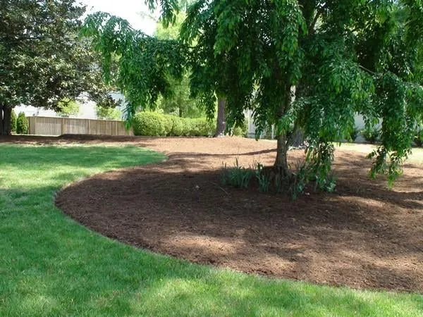 Professional landscape installation in Durham, NC - Landscape Logic of North Carolina