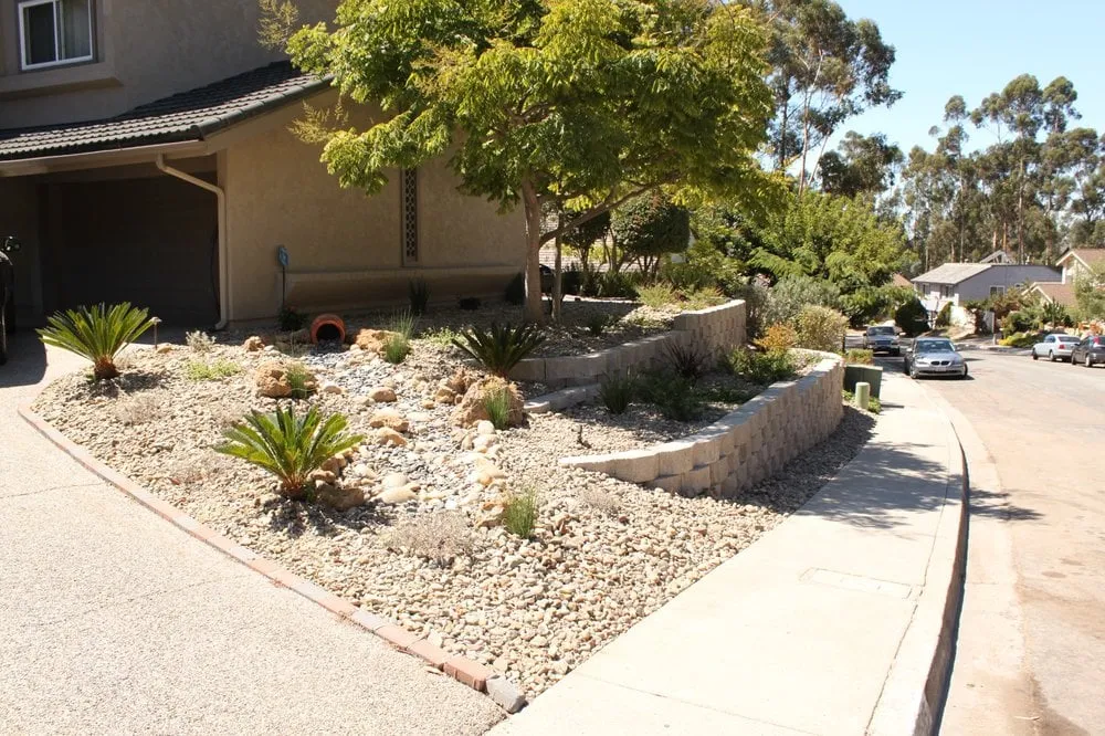 Reliable yard cleanup service in San Diego, CA by Landscape Logic
