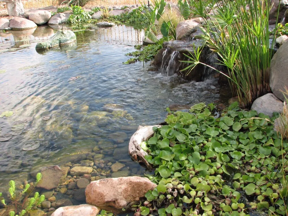 Affordable yard cleanup service in Saint George, UT - Landscape Logistics